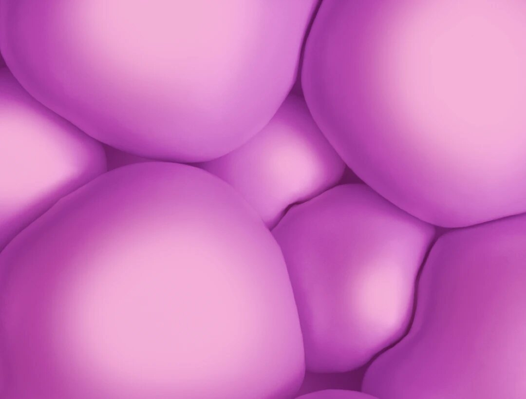 image-alt-label-sex-toys-bubles